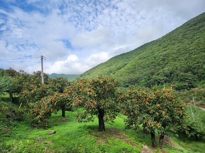 2e35fa53703bda1c3d1232713fbfad18_1760511135_0003.jpg 2e35fa53703bda1c3d1232713fbfad18_1760511135_0003.jpg