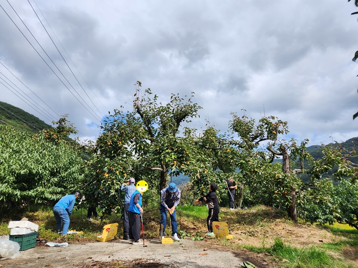 b3b3f067fda2a6b2c7a9077174bbb4f2_1760947156_4672.jpg b3b3f067fda2a6b2c7a9077174bbb4f2_1760947156_4672.jpg