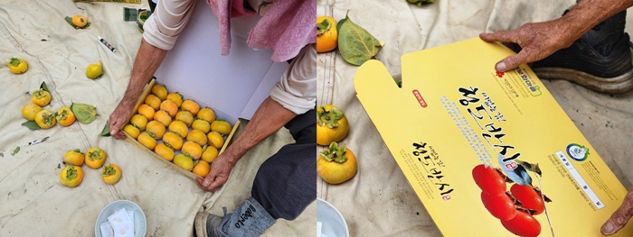 b3b3f067fda2a6b2c7a9077174bbb4f2_1760947226_6576.jpg b3b3f067fda2a6b2c7a9077174bbb4f2_1760947226_6576.jpg