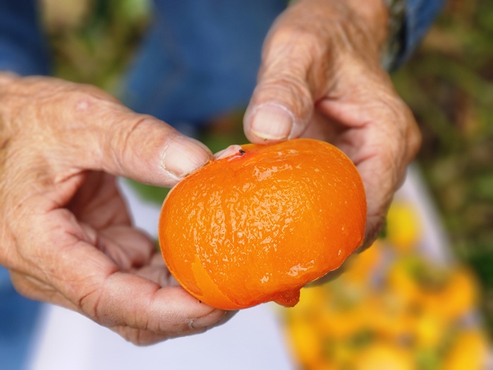 b3b3f067fda2a6b2c7a9077174bbb4f2_1760947235_8073.jpg b3b3f067fda2a6b2c7a9077174bbb4f2_1760947235_8073.jpg