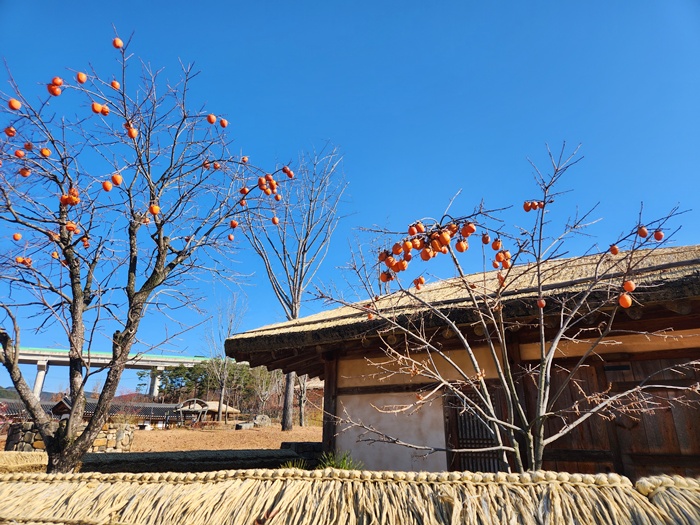 98eb3e827ea5885ce8ccfc36fcc8f4d1_1764899961_0445.jpg 98eb3e827ea5885ce8ccfc36fcc8f4d1_1764899961_0445.jpg