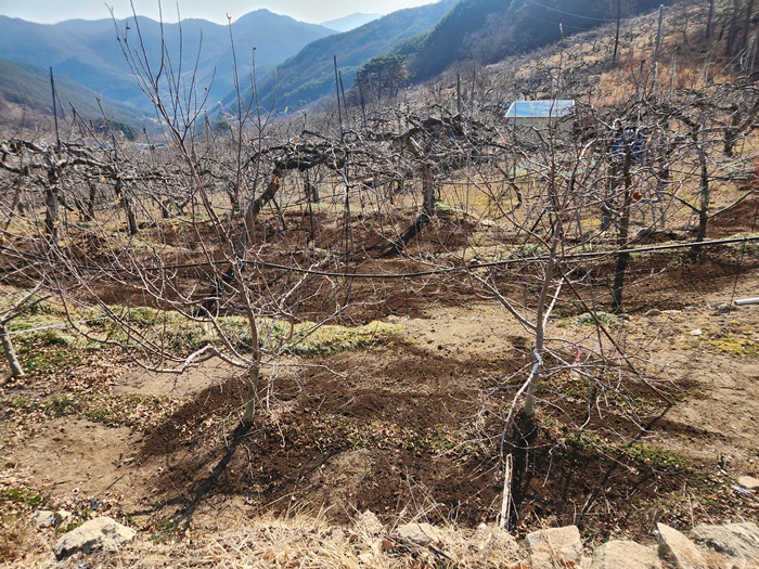 924d5c3b5731cc0f925f4ed5a3898cbf_1771570091_5812.jpg 924d5c3b5731cc0f925f4ed5a3898cbf_1771570091_5812.jpg