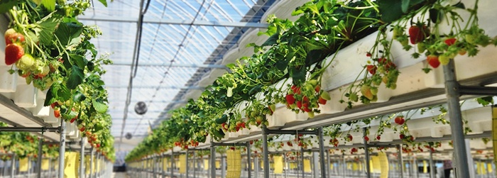 3ee8a58476729c68dfea612cbd5d0675_1773987063_9628.jpg 3ee8a58476729c68dfea612cbd5d0675_1773987063_9628.jpg