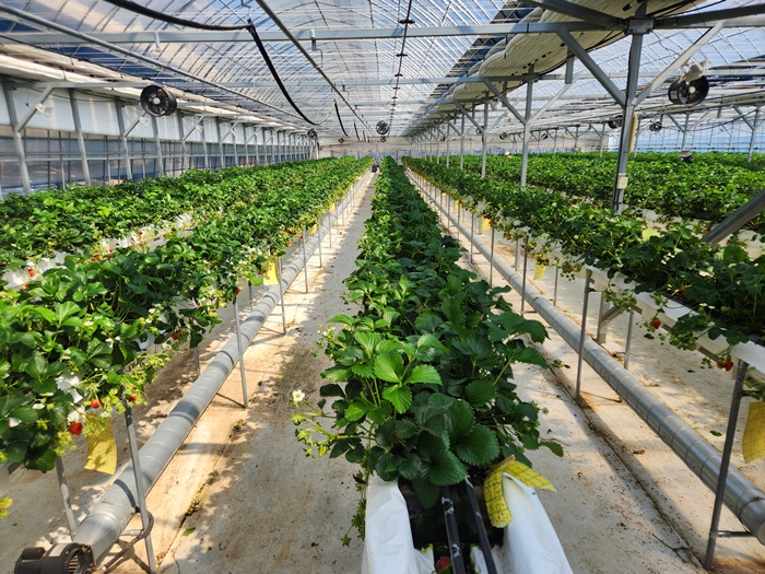 3ee8a58476729c68dfea612cbd5d0675_1773987077_3239.jpg 3ee8a58476729c68dfea612cbd5d0675_1773987077_3239.jpg