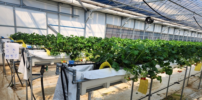 3ee8a58476729c68dfea612cbd5d0675_1773987087_0772.jpg 3ee8a58476729c68dfea612cbd5d0675_1773987087_0772.jpg