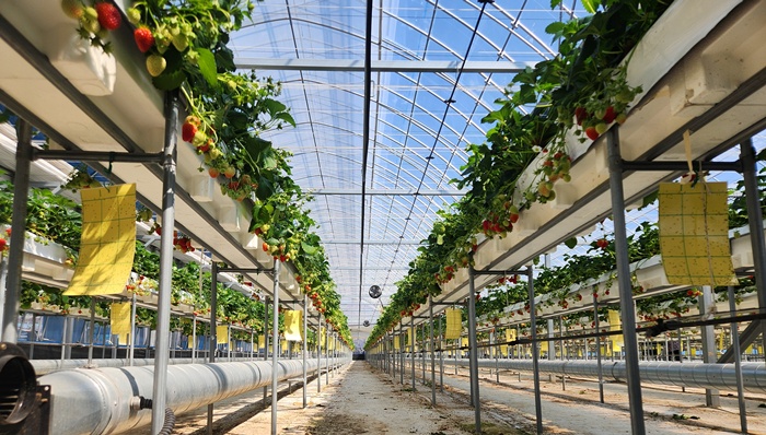 3ee8a58476729c68dfea612cbd5d0675_1773987092_6544.jpg 3ee8a58476729c68dfea612cbd5d0675_1773987092_6544.jpg