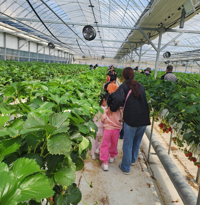 0a355c111310035eef7b0c603b4c8a11_1776048099_7529.jpg 0a355c111310035eef7b0c603b4c8a11_1776048099_7529.jpg