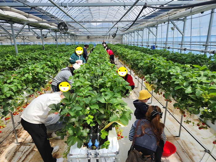 0a355c111310035eef7b0c603b4c8a11_1776048099_7907.jpg 0a355c111310035eef7b0c603b4c8a11_1776048099_7907.jpg